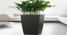 德國進口高檔蕾秀花盆高光正方高柱型