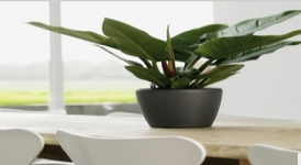 德國進口高檔蕾秀花盆經(jīng)典矮胖圓型