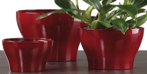 德國進口高檔陶瓷花盆雪瑞奇608系列花盆