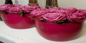 德國進口高檔陶制套盆SK巴塞爾啞光