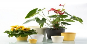 德國進(jìn)口高檔陶制套盆SK達(dá)拉斯啞光