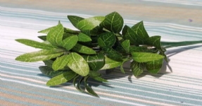 田園辣椒仿真裝飾葉